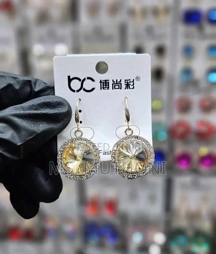Dangle Crystal Coated Earrings