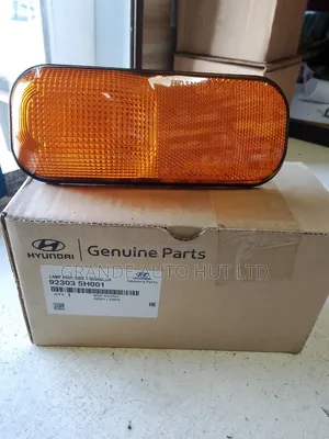 Turn Signal/Indicator Lamp Left Hyundai Hd72/65 (Genuine)