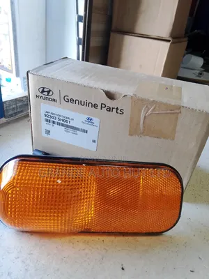 Turn Signal/Indicator Lamp Left Hyundai Hd72/65 (Genuine)