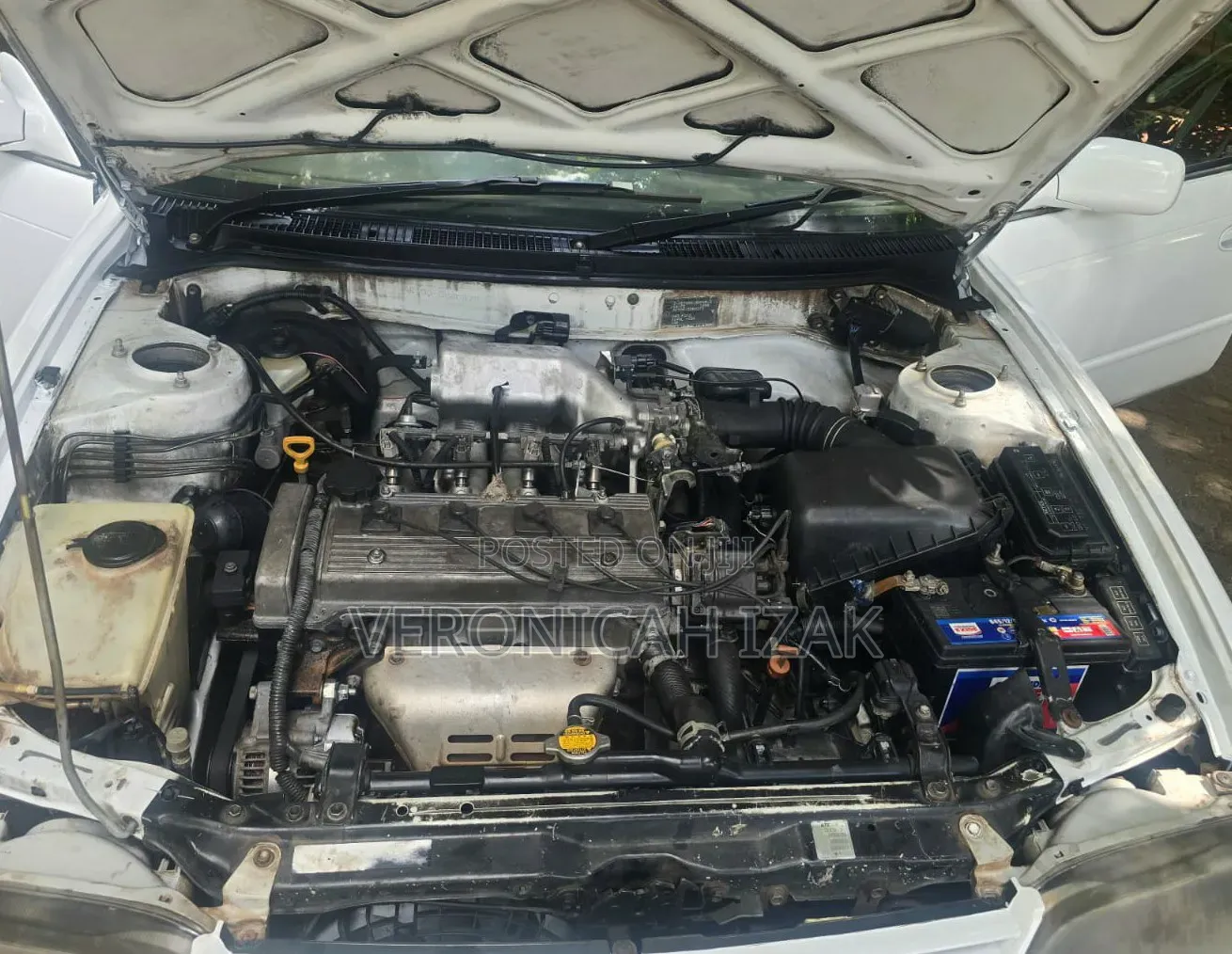 Toyota Corolla 1998 White