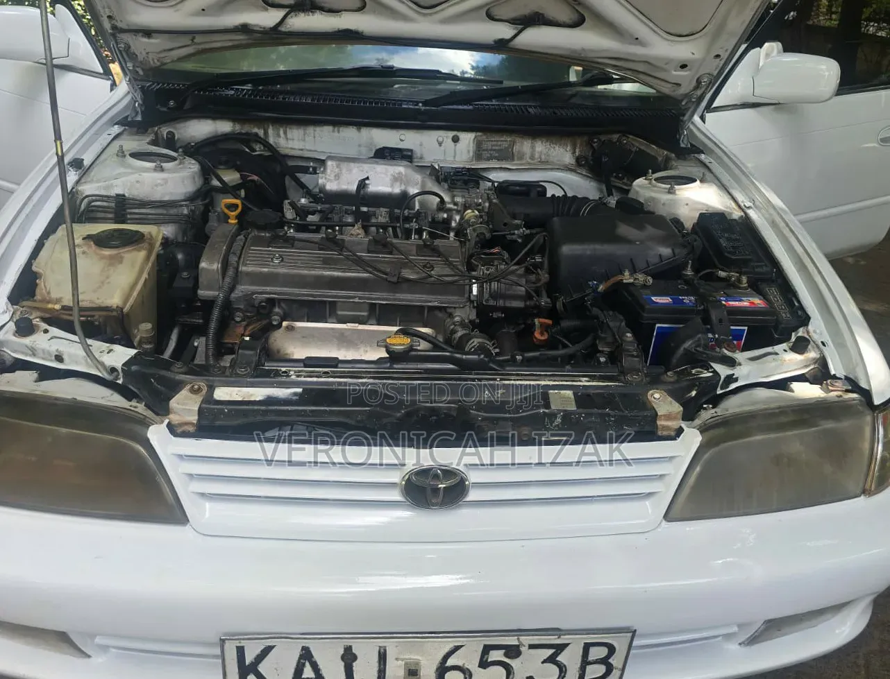 Toyota Corolla 1998 White