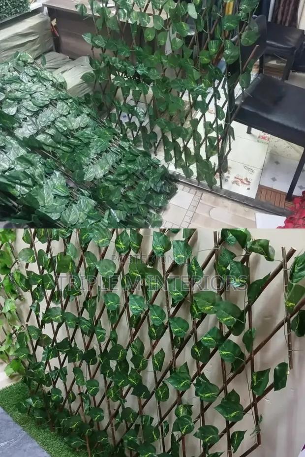 Easy Setup Expandable Hedge Screen for Outdoor Screening - main view