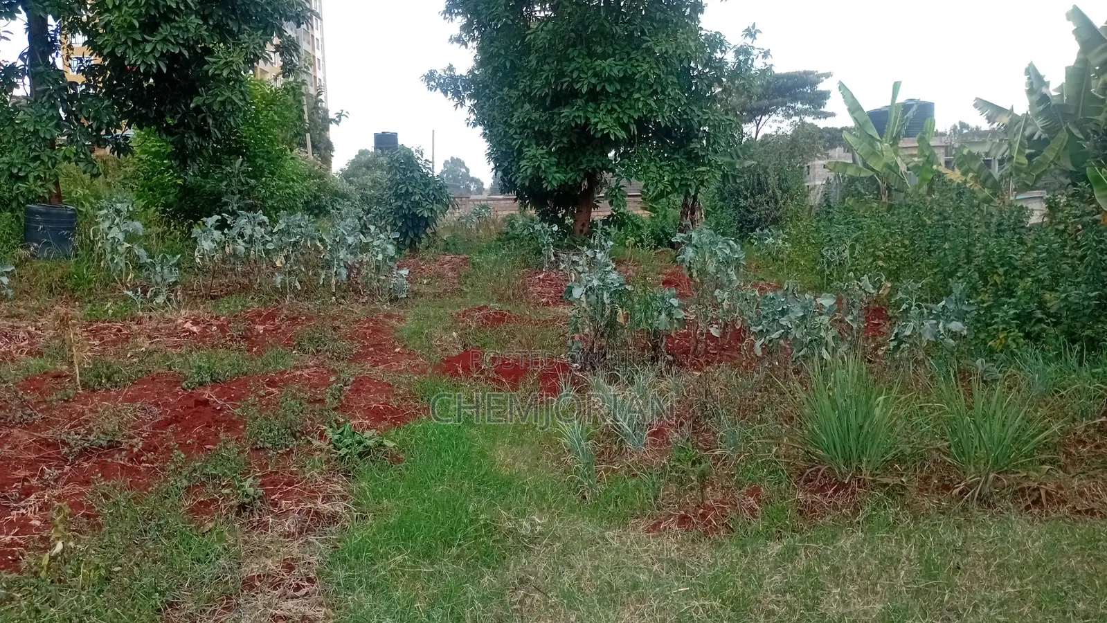 Plot For Sale 50 By 100