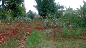 Plot For Sale 50 By 100
