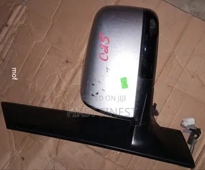 Serena C25 Sidemirror