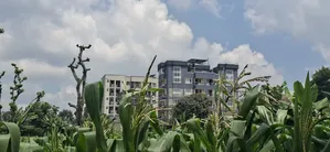 Slightly Less Than 1/2 Acre Land For