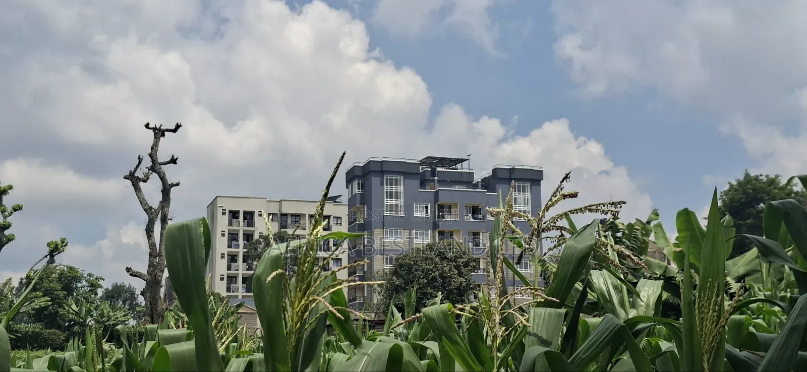 Slightly Less Than 1/2 Acre Land For