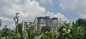 Slightly Less Than 1/2 Acre Land For