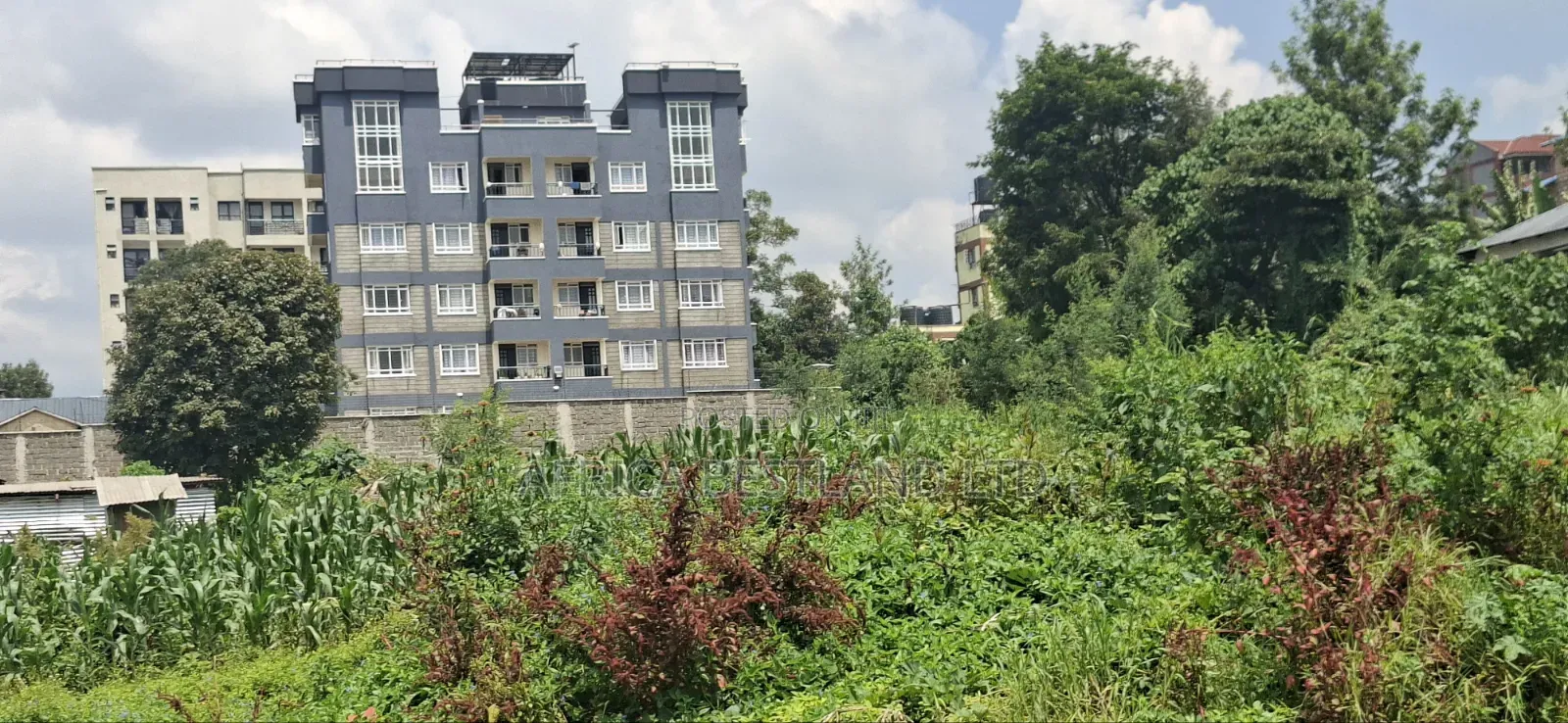 Slightly Less Than 1/2 Acre Land For