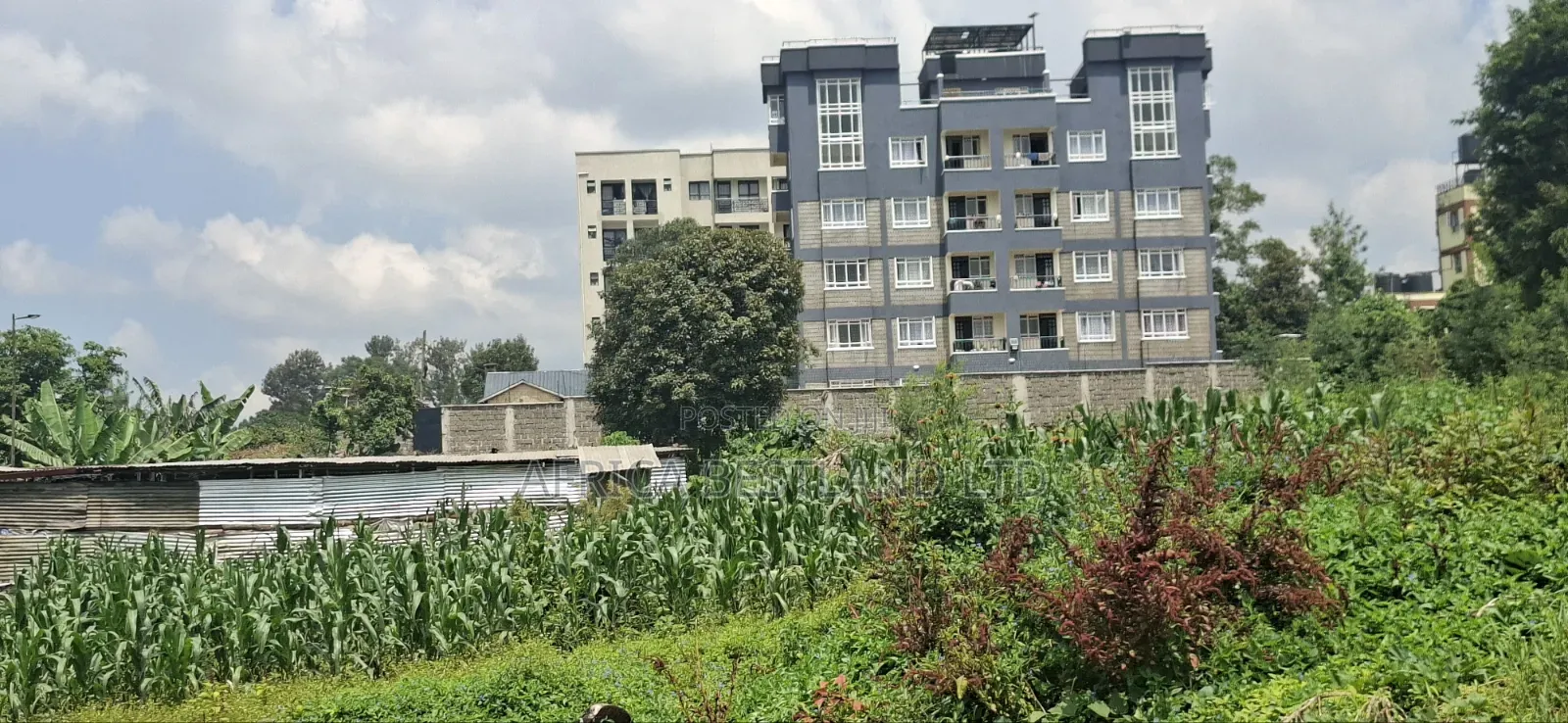 Slightly Less Than 1/2 Acre Land For