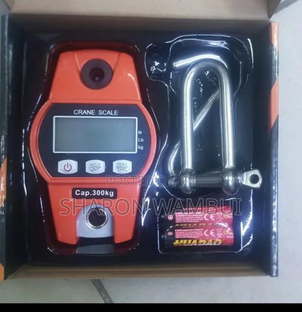 New 300kg Crane Scale/300kg Crane Scale