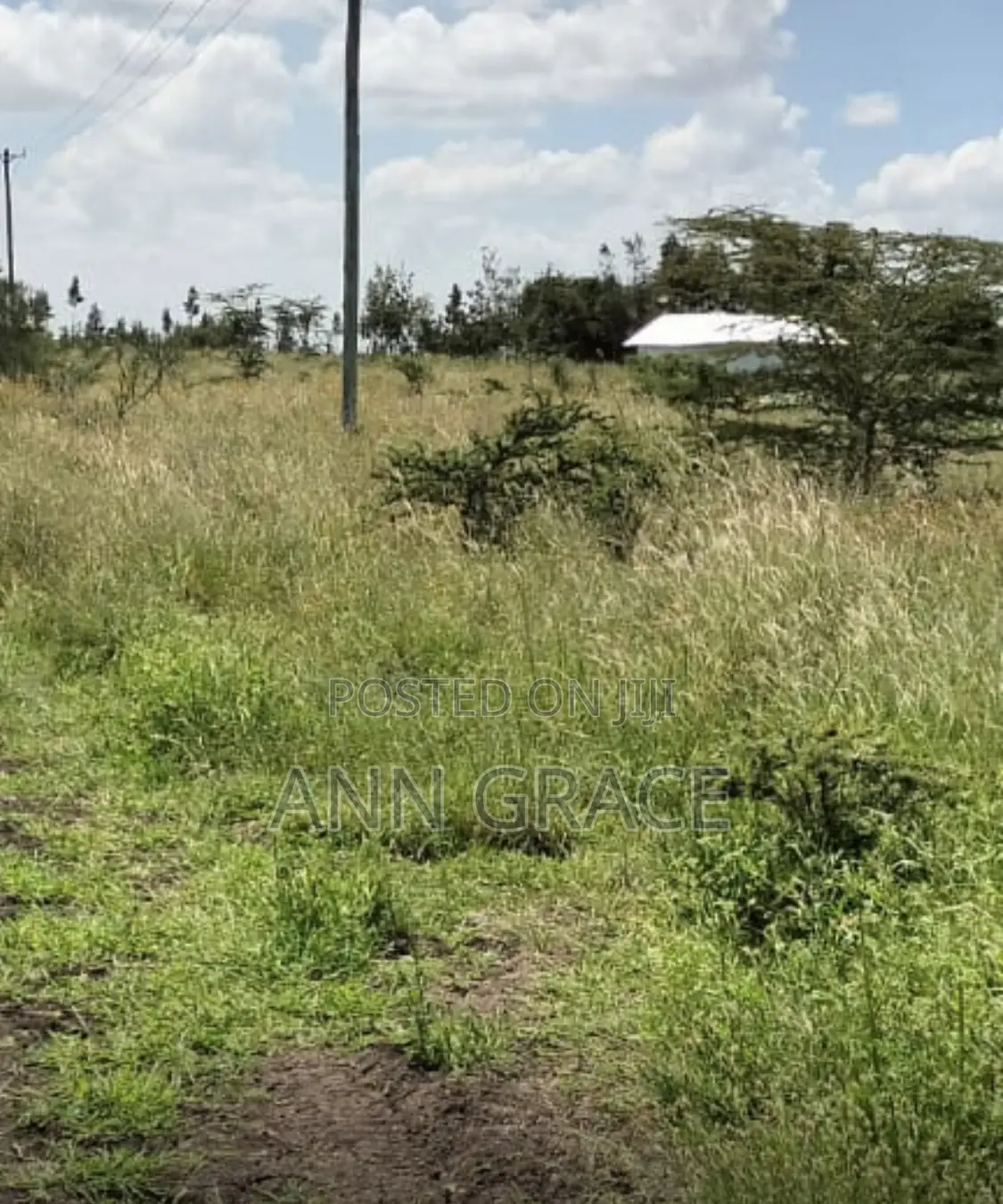 2 and 1/4 Acres for Sale