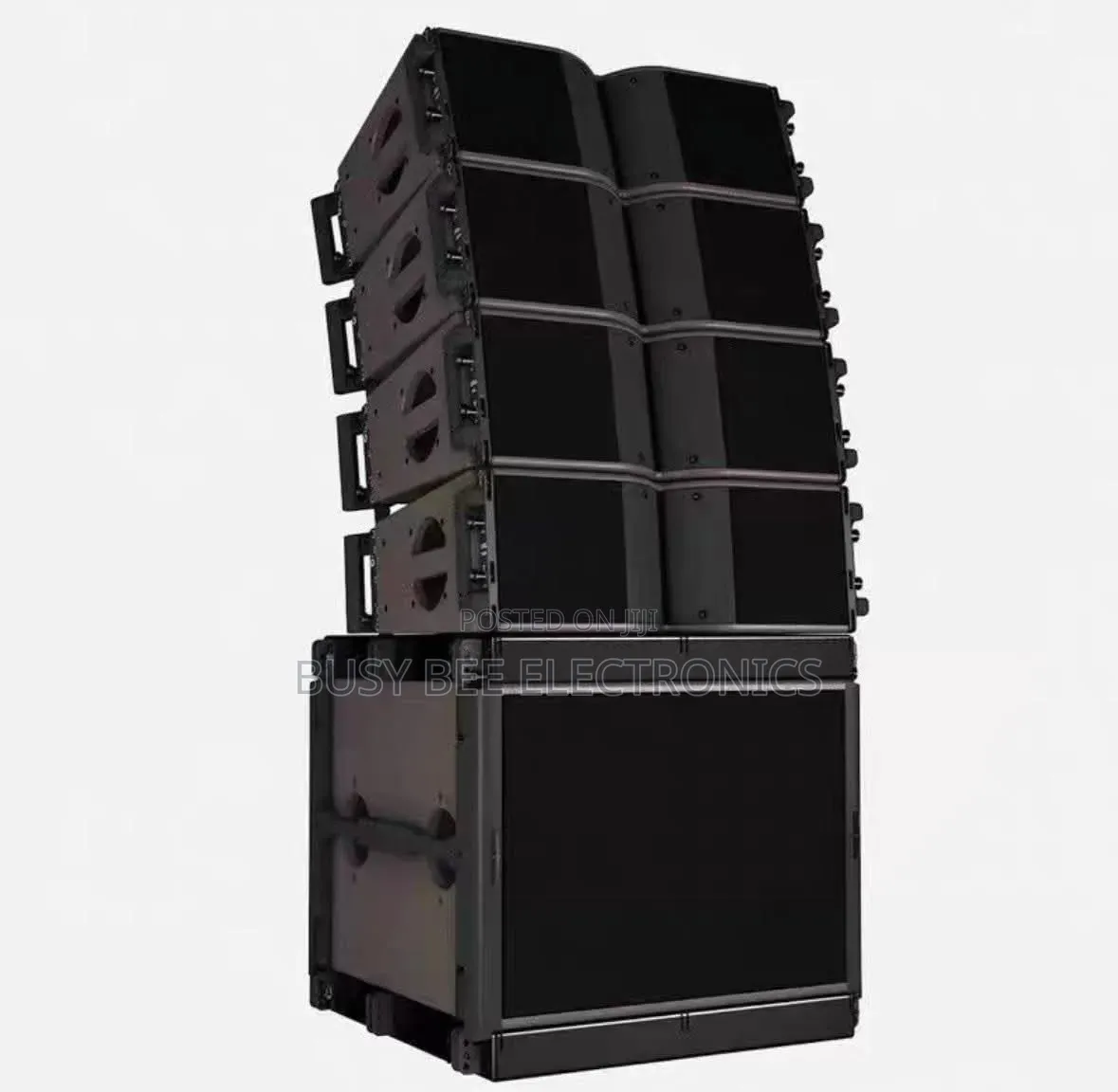 10" Line Array System