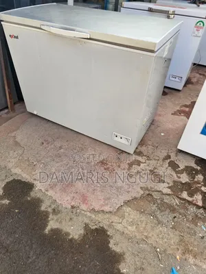 Exzel Deep Freezer