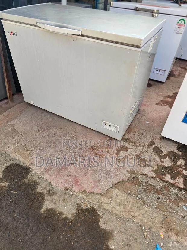 Exzel Deep Freezer - main view
