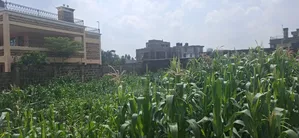 100x100 Residential Plot for Sale – Kikuyu Gikambura, Kiambu County
