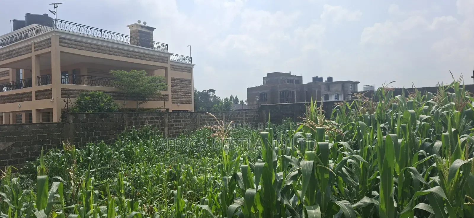 100x100 Residential Plot for Sale – Kikuyu Gikambura, Kiambu County
