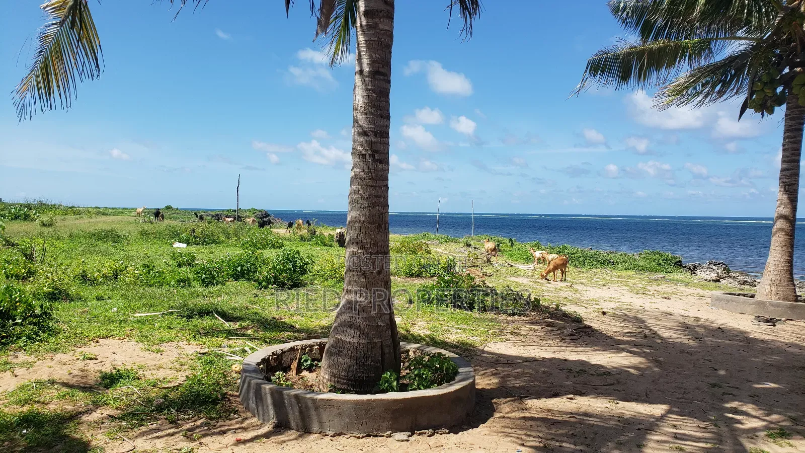 1 Acre Beachplot in Malindi, Kilifi for Sale