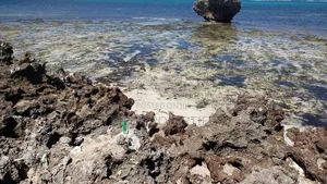 1 Acre Beachplot in Malindi, Kilifi for Sale