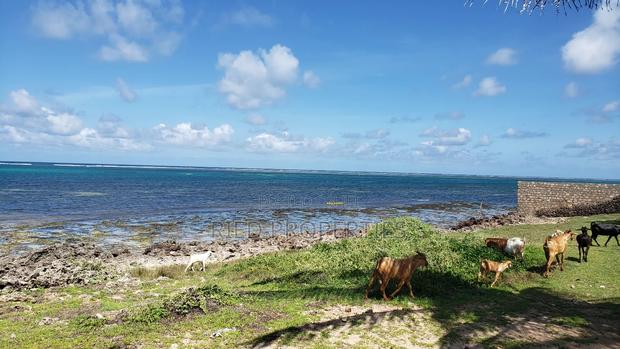 1 Acre Beachplot in Malindi, Kilifi for Sale - thumbnail 6