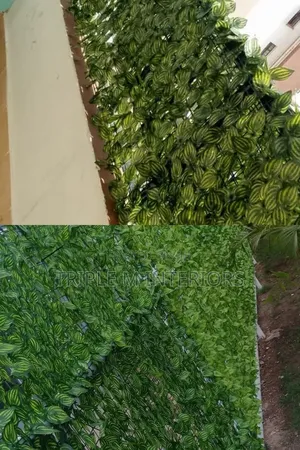 Elegant Outdoor Privacy Green Solution