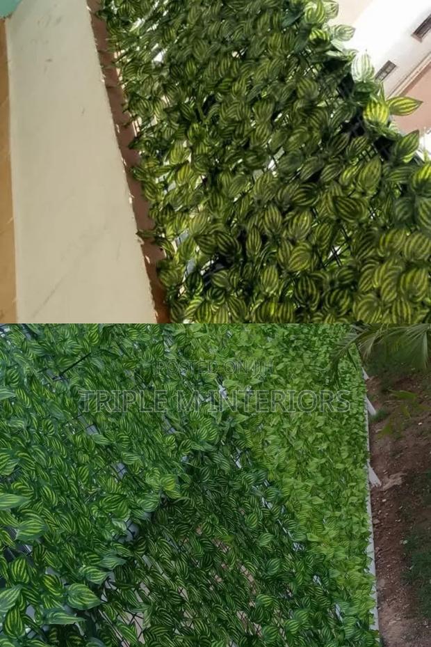 Elegant Outdoor Privacy Green Solution