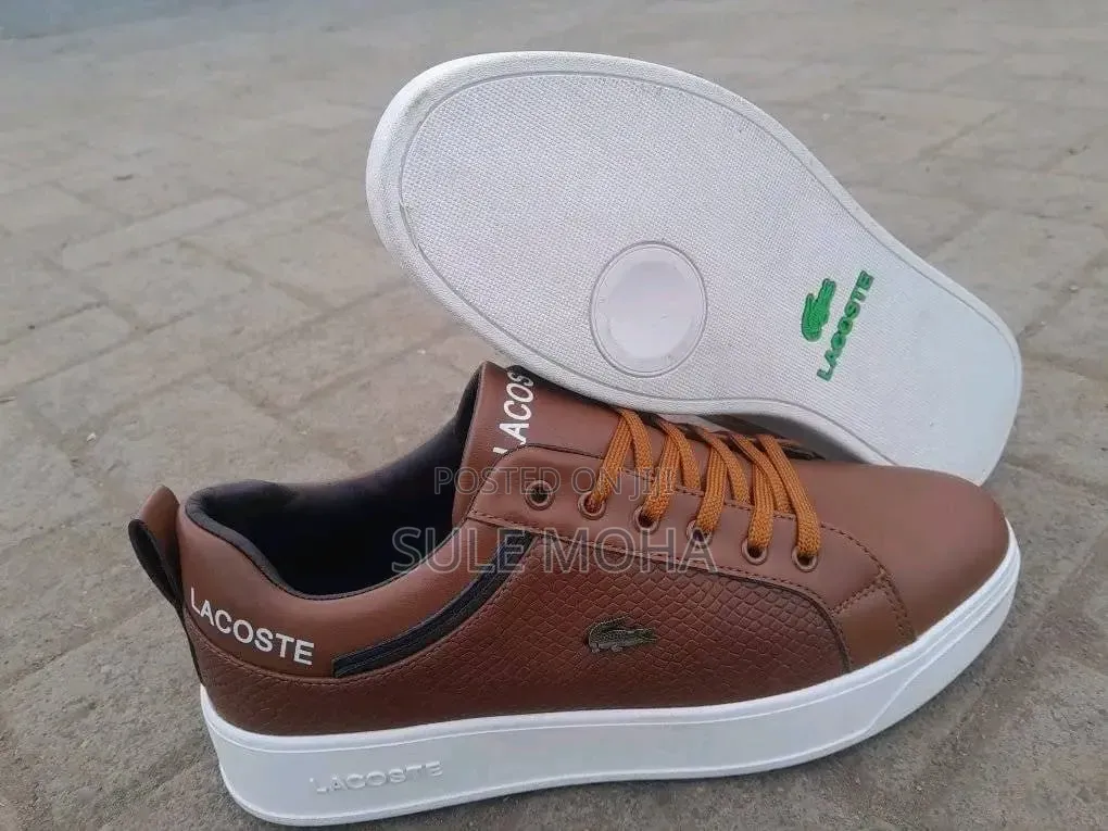 Timberland Shoes