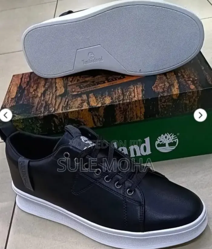 Timberland Shoes