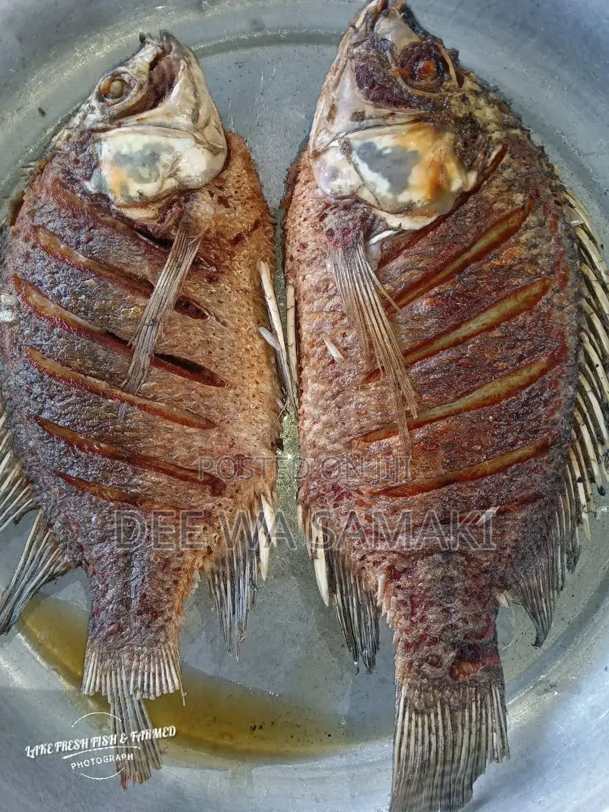 Fresh Fish,Deep Fried Nile Pearch