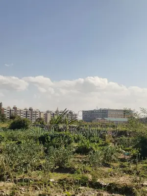 Prime Athi River 70 by 30 Plots