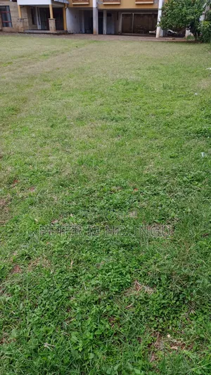 Prime Commercial Land 1/2 Acre on Sale, Ngara