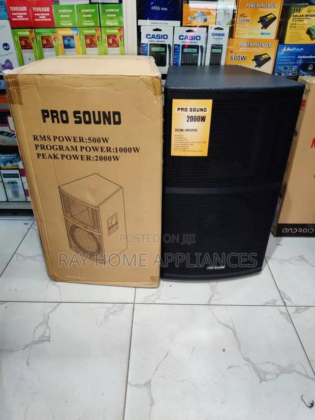 Pro Sound Wooden 15" Speaker