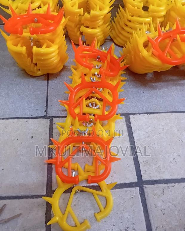 Suckling Preventers for Calfs