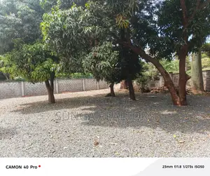 Land for Lease in Lavington