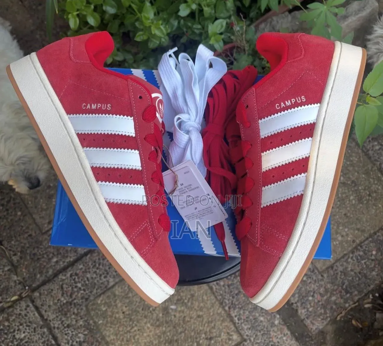 Addias Sneakers