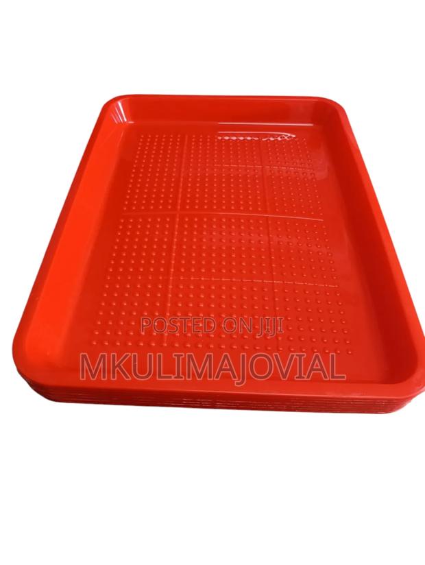 Chick Rectangular Feeding Trays - Quality Made