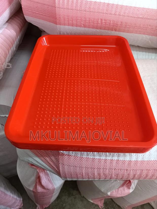 Rectangular Shape Chick Feeding Trays - main view