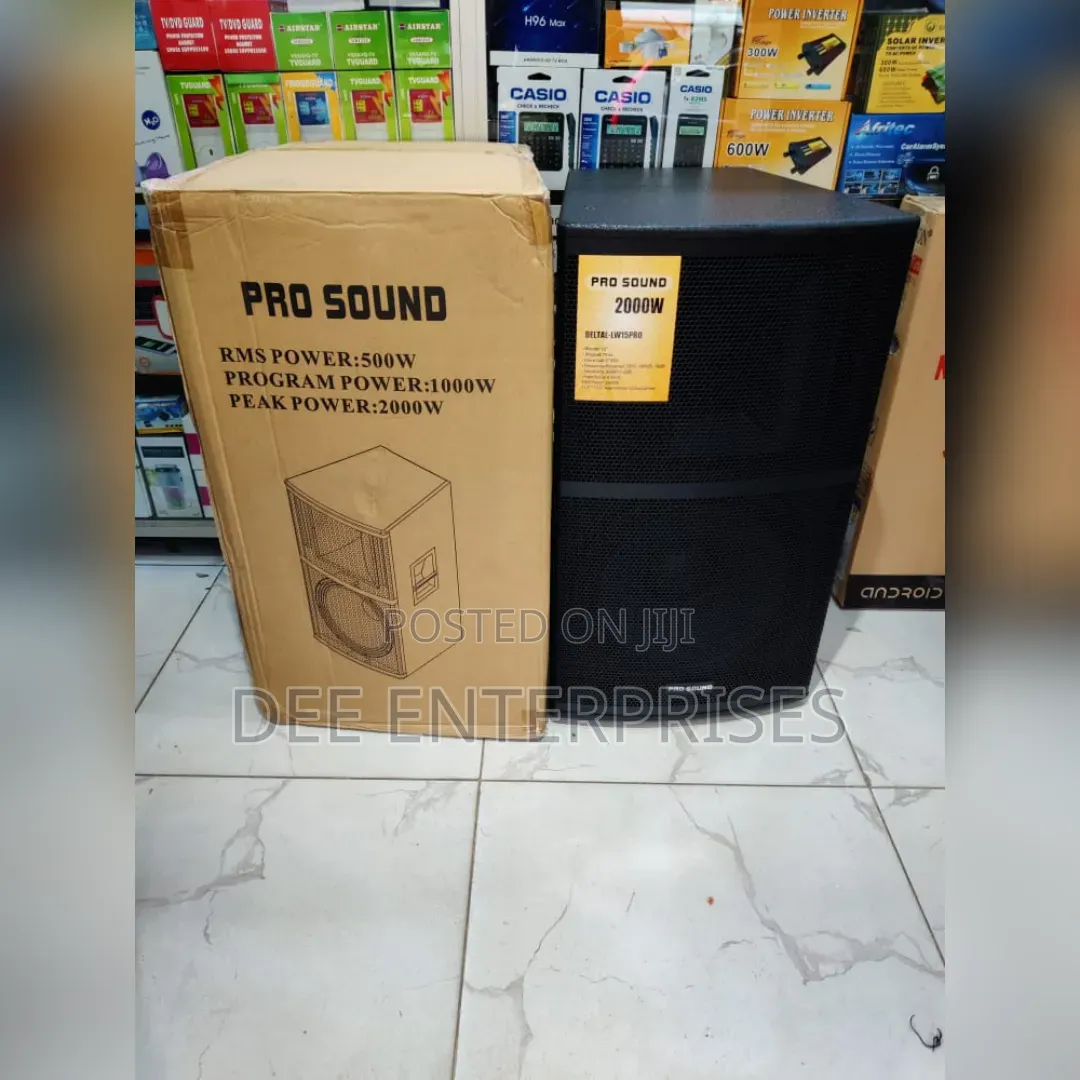 Pro Sound Wooden 15" Speaker