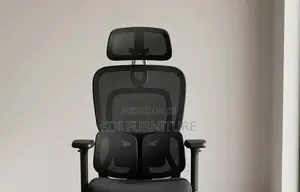 Office Chairs; Rocking Orthopedic Impressive Office Chairs