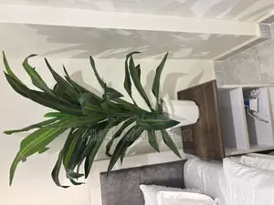 Large Artificial Plants