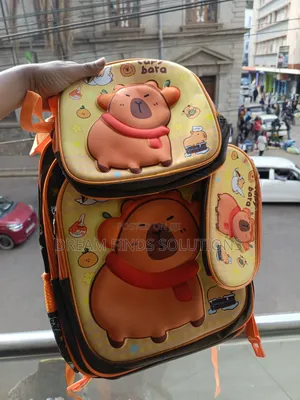 Kids School Backpack 3 in 1