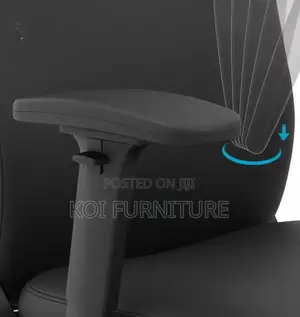 Office Chairs; Sytas Orthopedic Executive Office Chairs