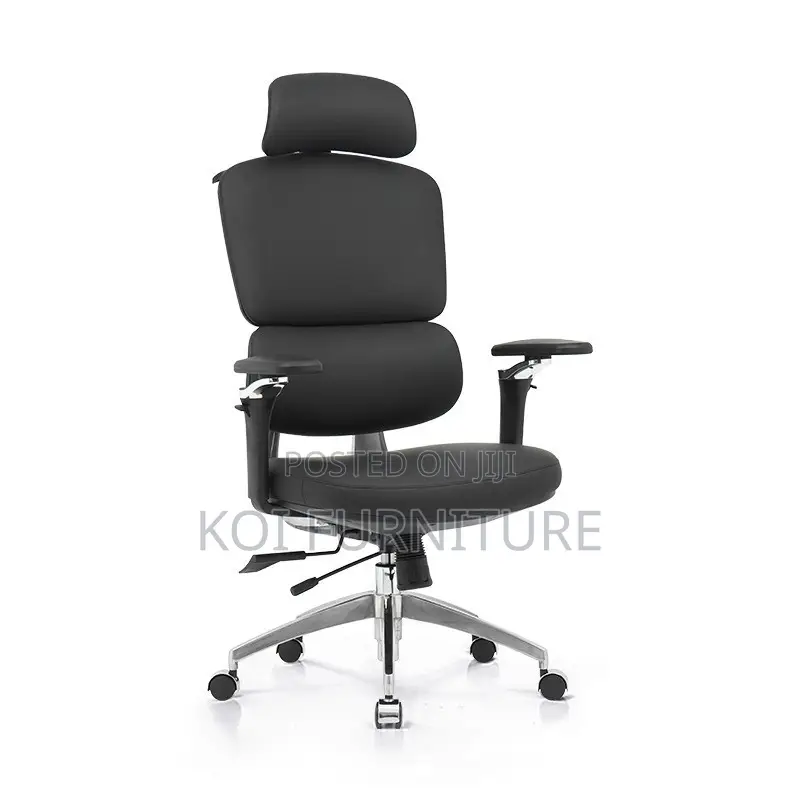 Office Chairs; Sytas Orthopedic Executive Office Chairs