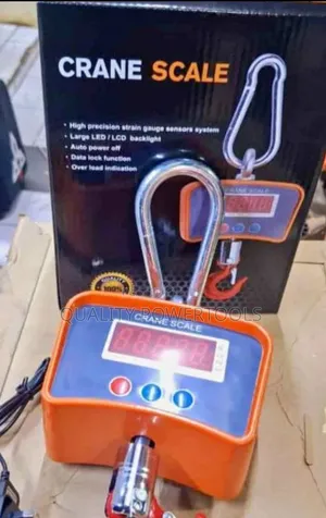 Quality 500 Kg Crane Scale