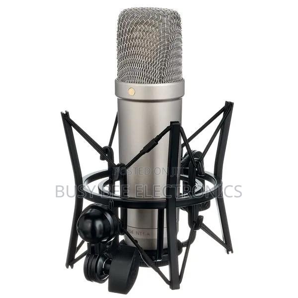 Large Diaphragm Microphones Nt1a