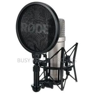 Large Diaphragm Microphones Nt1a