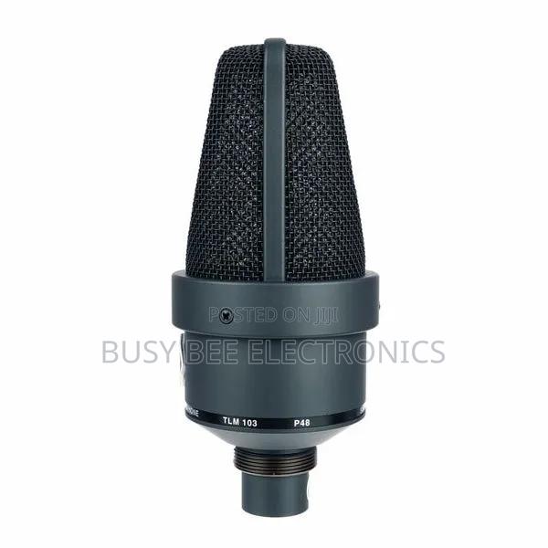 Neumann TLM 103 - thumbnail 3
