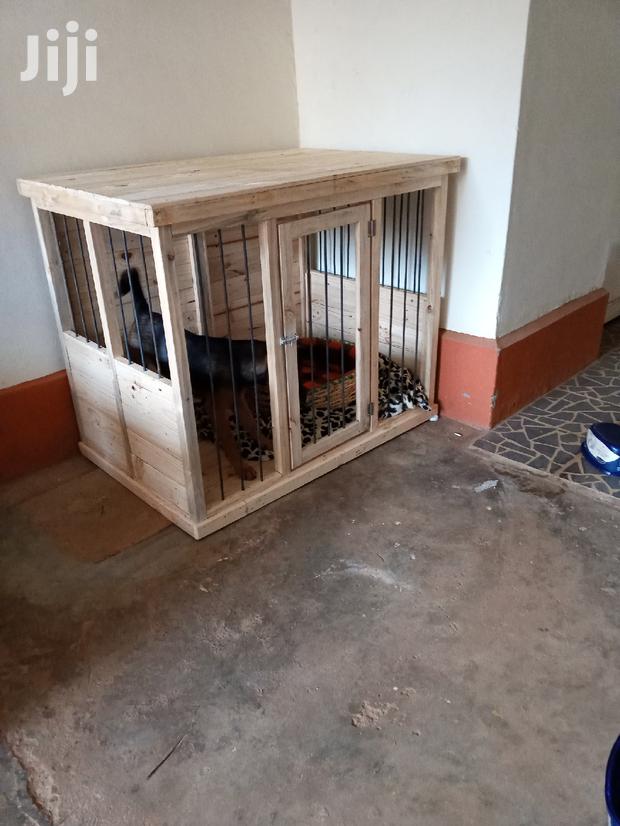 Dog Crates - thumbnail 6