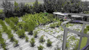 1 Acre in Kitengela