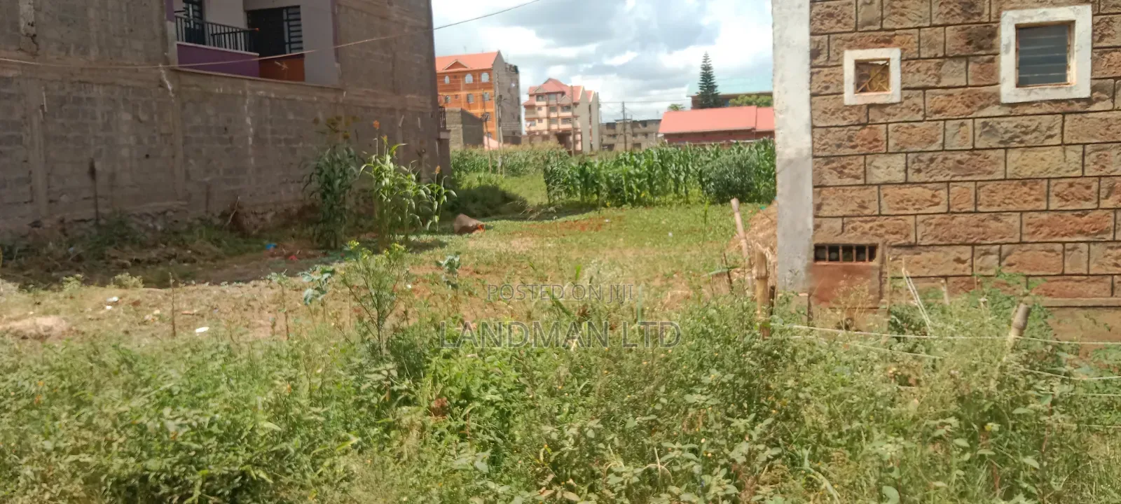Thika Nanazi Prime Plot